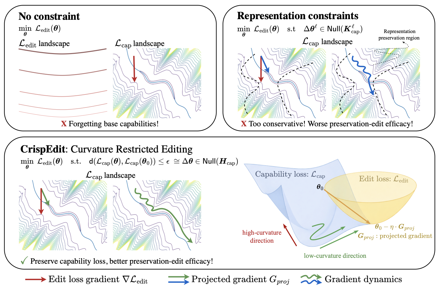 CrispEdit Methodology Overview